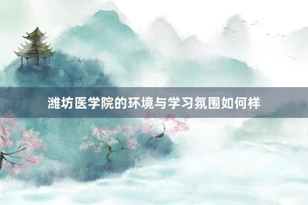 潍坊医学院的环境与学习氛围如何样