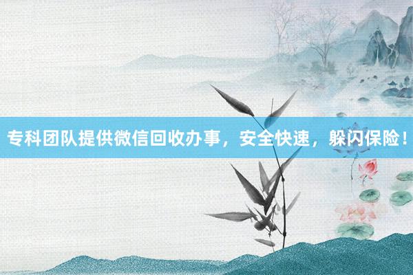 专科团队提供微信回收办事，安全快速，躲闪保险！